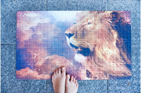 Rohožka - Lion, 45x75 cm