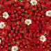Ubrus PVC Florista  Fl-1156 - Jahody, role 20 m 