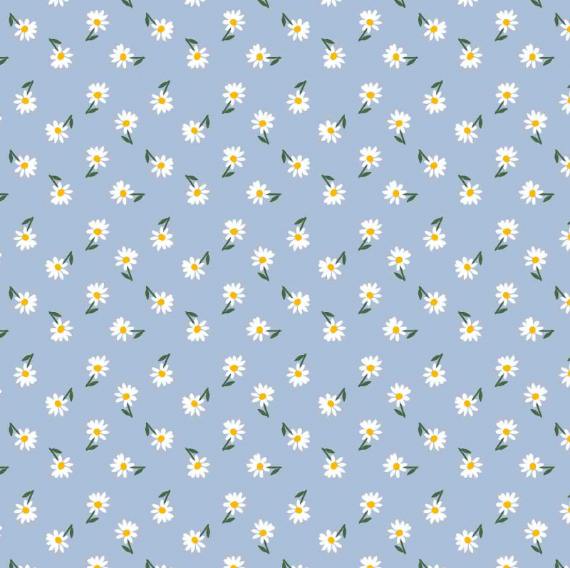 Ubrus PVC FL-1725 - Kopretinové pole (různé velikosti)