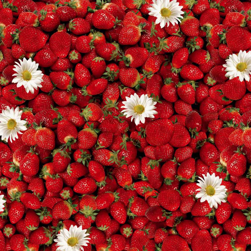 Ubrus PVC FL-1156 kulatý- Jahody (různé velikosti)