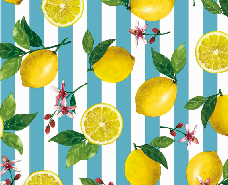 Ubrus PVC M-153B - Citróny (různé velikosti)