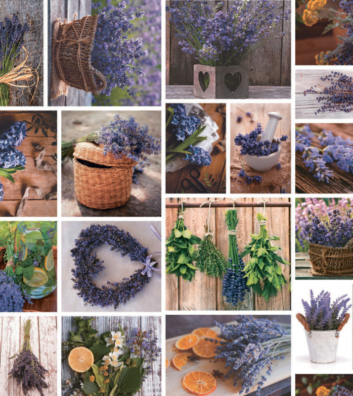 Ubrus PVC Mo-6284 - Vůně provence (různé velikosti)